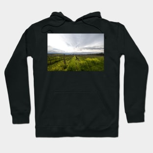 Napa Valley Vineyards Hoodie